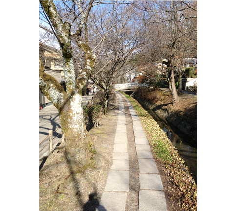桜と水路の散歩道