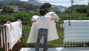Summer Japanese Futon and Comforter Airing